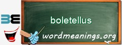 WordMeaning blackboard for boletellus